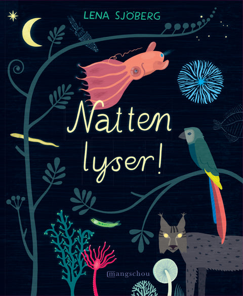 Natten lyser